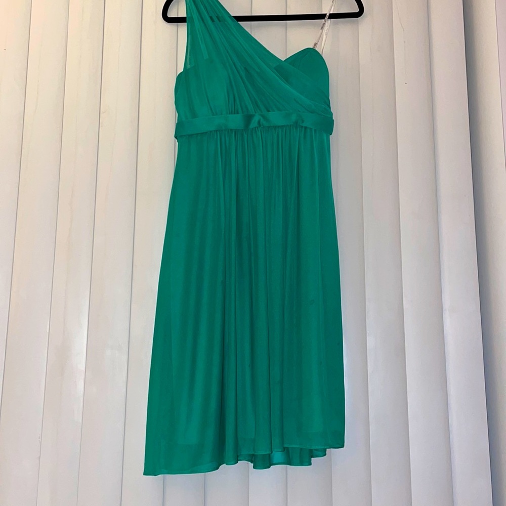 David’s Bridal Bridesmaid Dress